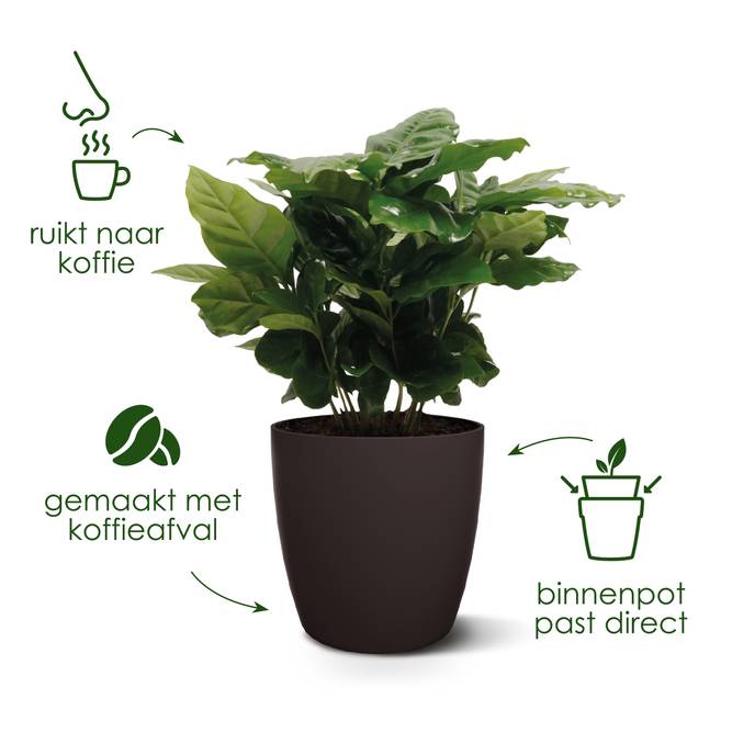 the coffee collection rond 16cm espresso bruin